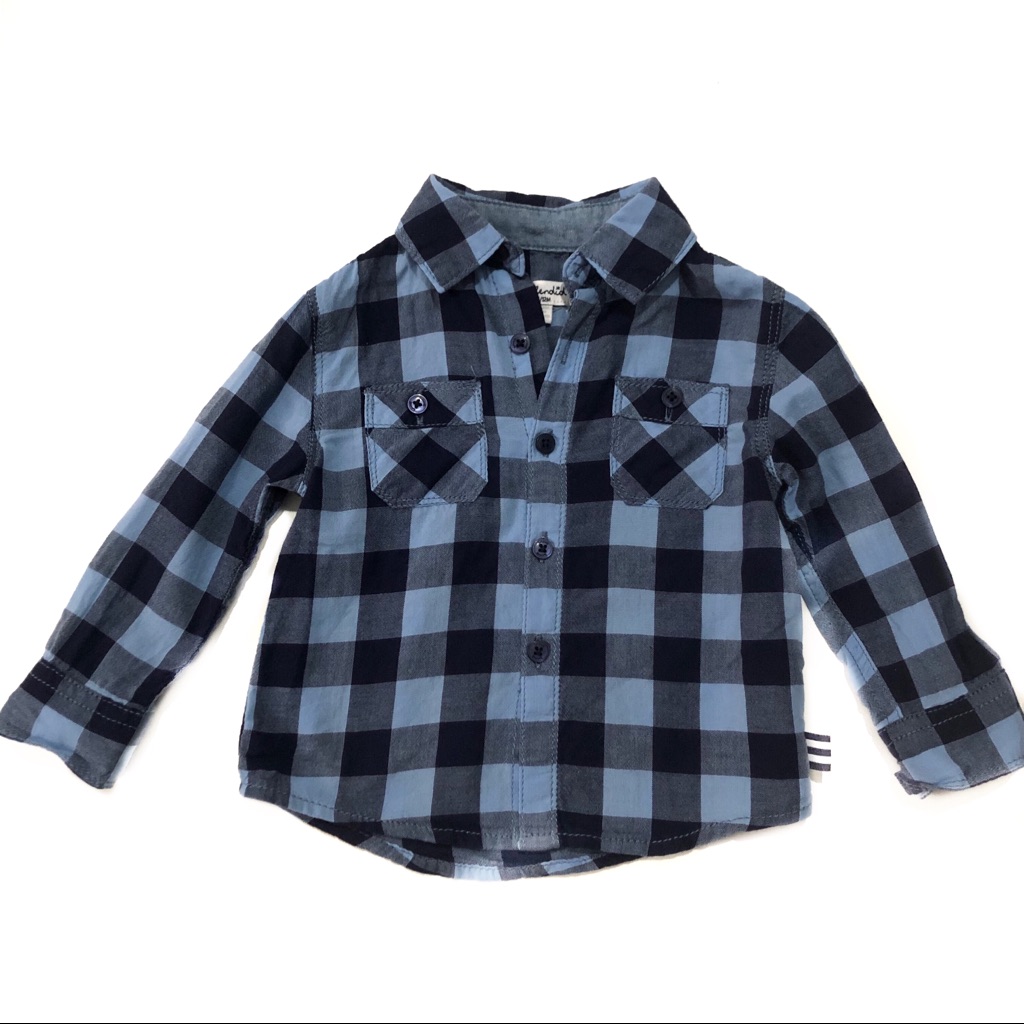 Splendid Button Down Flannel